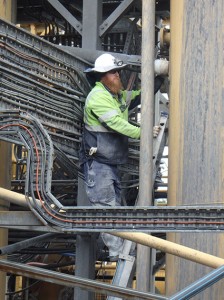 Castlemaine Goldfields(1)